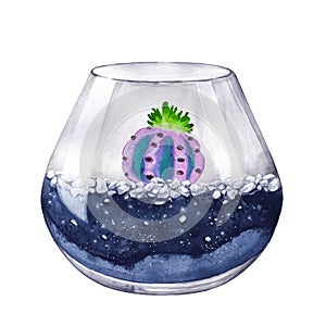 Watercolor illustration. Terrarium for succulents