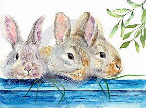 Watercolor illustration of three fluffy rabbits or hares