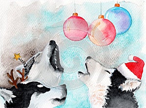 Watercolor illustration of three funny cute husky dogs