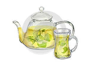 Watercolor illustration of transparent teapot with herbs tea isolated on white . Glass teapot with nettle tea. Herbs and