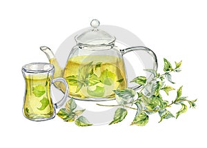 Watercolor illustration of transparent teapot with herbs tea isolated on white . Glass teapot with nettle tea. Herbs and