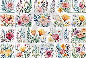 Watercolor illustration of trendy floral icon set, vintage style flowers on isolated background,