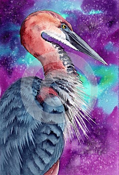 Watercolor illustration of a tricolored heron with blue and purple feathers