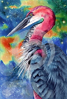 Watercolor illustration of a tricolored heron with blue and purple feathers