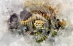 Watercolor illustration of tropic lionfish