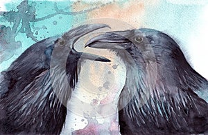 Watercolor illustration of two black ravens