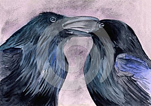 Watercolor illustration of two black ravens or crows