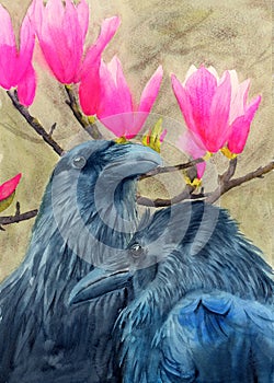 Watercolor illustration of two black ravens with magnolia flowers