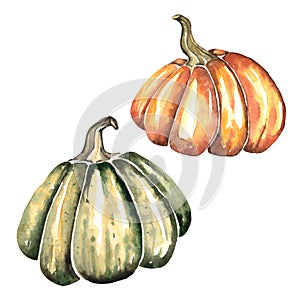 Watercolor Illustration of Two Bright Pumpkins for Autumn and Halloween Design