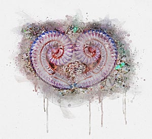 Watercolor illustration of two catterpillers twirl like a heart shape