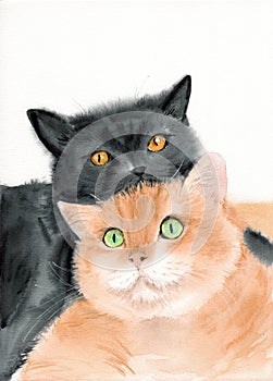 Watercolor illustration of two funny fluffy cats lying on top of each other