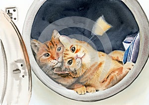 Watercolor illustration of two funny ginger cats lying comfortably in an open washing machine photo