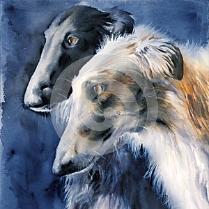 Watercolor illustration of two hunting greyhounds, white and fawn