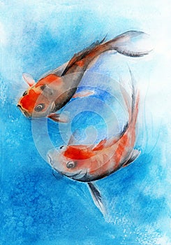 Watercolor illustration of two koi fish