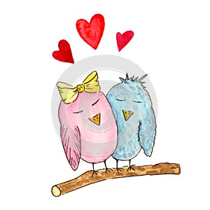 Watercolor illustration. Two lovebirds on a branch on a white background