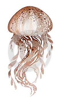 Watercolor illustration underwater marine animals octopus, stingray, jellyfish.