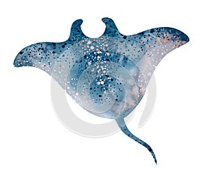 Watercolor illustration underwater marine animals stingray. Marine inhabitants of the underwater world.