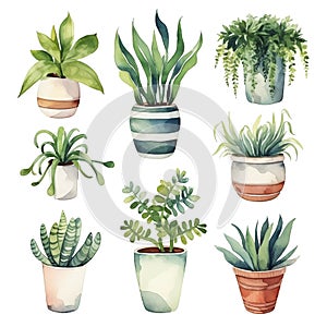 Watercolor illustration of various potted houseplants isolated on white background