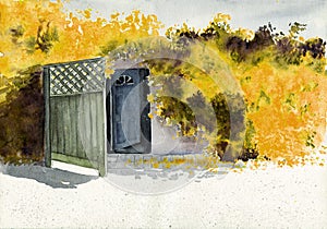 Watercolor illustration of a wall of a whitewashed house entwined with yellow bougainvillea