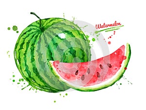 Watercolor illustration of watermelon