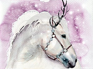 Watercolor illustration of a white horse with a snow-white mane