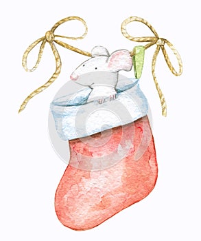 Watercolor illustration of white mouse in Christmas sock