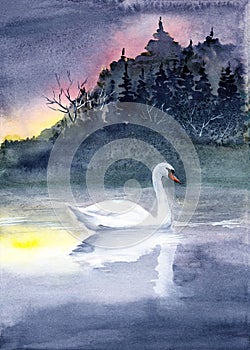 Watercolor illustration of a white swan on a misty lake at dusk, with a dark wooded shore