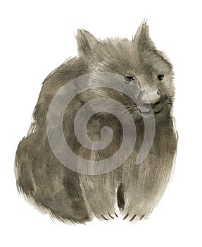 Watercolor illustration of a wombat in white background.
