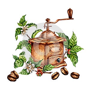 Coffee grinder with twigs and flowers of coffee watercolor