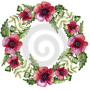 Watercolor illustration, a wreath of bright red poppies, leaves and twigs photo
