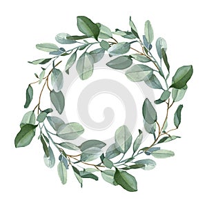 Wreath of green eucalypt leaves isolated on white background photo