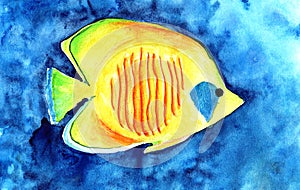 Watercolor illustration of a yellow aquarium fish with orange stripes and a geometric square of blue color near the eye with a