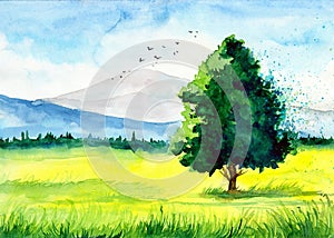 Watercolor illustration of the yellow field with the beautiful tree
