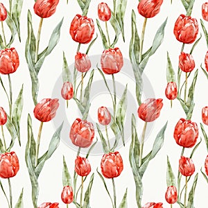 watercolor illustrations of blue tulips, white background, seamless watercolor pattern