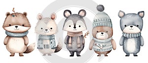 Watercolor illustrations from a cute Animal winter set