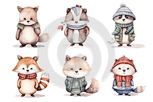 Watercolor illustrations from a cute Animal winter set