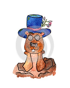 Watercolor illustrations, for the day of the groundhog, the groundhog that looks out of the mink in a hat and glasses