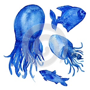 Watercolor illustrations, funny blue fish and jellyfish with tails isolated on white background.