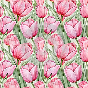 watercolor illustrations pink tulips, seamless watercolor art pattern