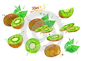 Watercolor illustrations set of kiwi