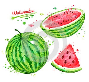 Watercolor illustrations set of watermelon