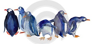 Watercolor ilustration of family group blue penguins