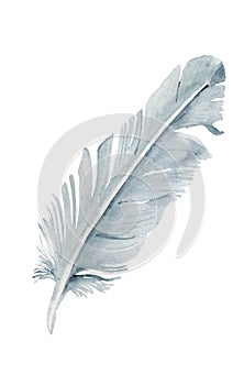 Watercolor imafe with light blue feather