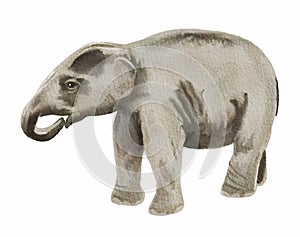 Watercolor image of baby of asian elephant.