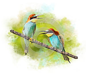 Watercolor Image of birds Bee-eaters photo