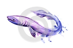 Watercolor image of cartoon frilled shark of purple color on white background. Hand drawn illustration of relict cartilaginous photo