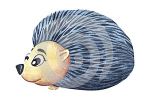 Watercolor image of cute cartoon hedgehog with big kind eyes and neat needles. Hand drawn illustration of friendly forest animal