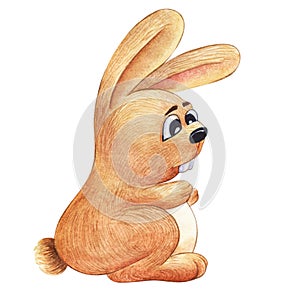 Watercolor image of cute cartoon rabbit with surprised expression on its face. Hand drawn illustration of domestic fluffy animal