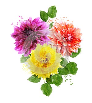 Watercolor Image Of Dahlia Flowers