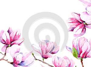 Watercolor image of magnolia flowers. Magnolia spring bloom. greeting card and wedding invitation.